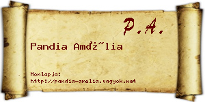 Pandia Amélia névjegykártya